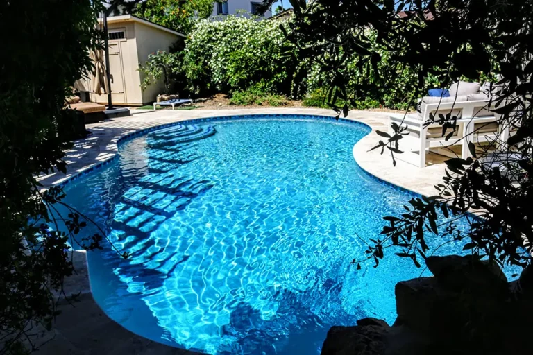 Sparkling blue backyard swimming pool